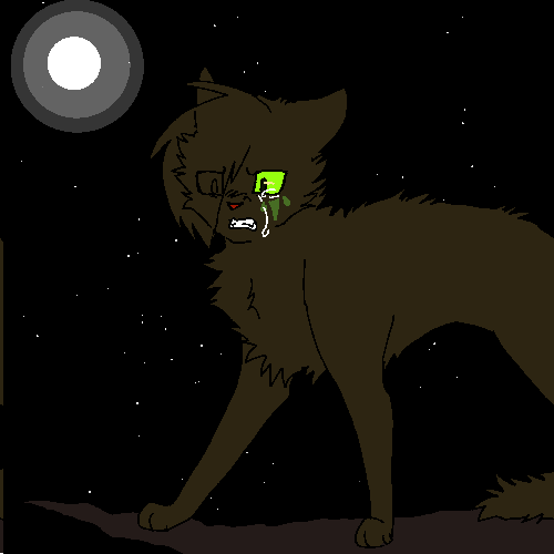 hollyleaf reveals the secret